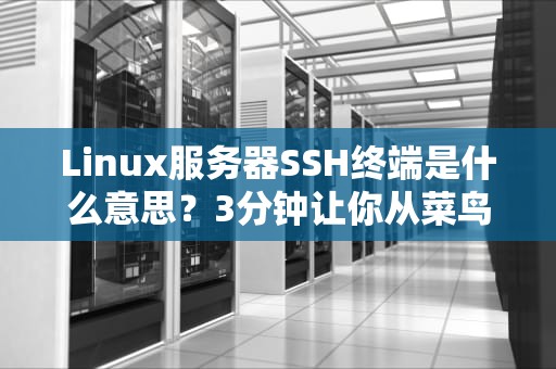 Linux服务器SSH终端是什么意思？3分钟让你从菜鸟变老司机！