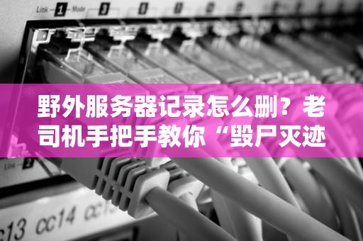 野外服务器记录怎么删？老司机手把手教你“毁尸灭迹”！（附实战避坑指南）