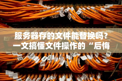 服务器存的文件能替换吗？一文搞懂文件操作的“后悔药”原理
