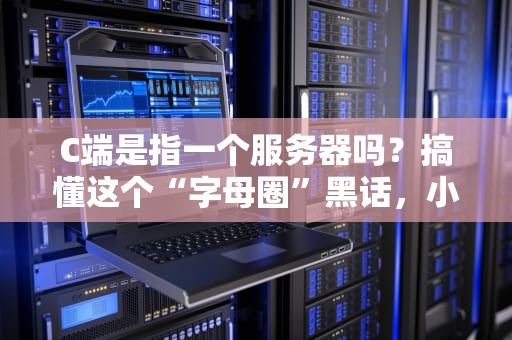 C端是指一个服务器吗？搞懂这个“字母圈”黑话，小白也能变大神！