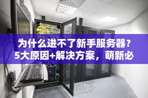 为什么进不了新手服务器？5大原因+解决方案，萌新必看！