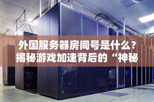 外国服务器房间号是什么？揭秘游戏加速背后的“神秘数字”