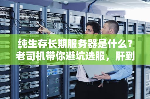 纯生存长期服务器是什么？老司机带你避坑选服，肝到天荒地老！