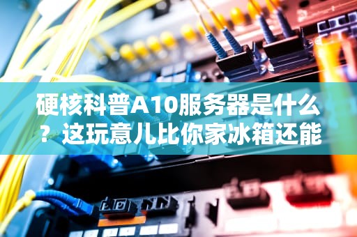 硬核科普A10服务器是什么？这玩意儿比你家冰箱还能装！