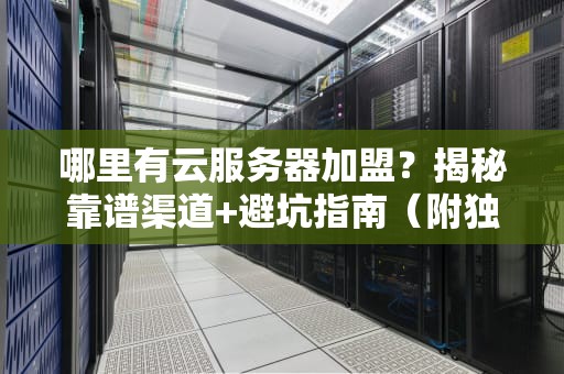 哪里有云服务器加盟？揭秘靠谱渠道+避坑指南（附独家测评）