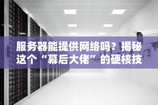 服务器能提供网络吗？揭秘这个“幕后大佬”的硬核技能！