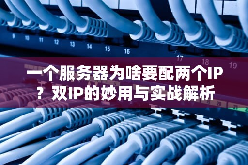 一个服务器为啥要配两个IP？双IP的妙用与实战解析