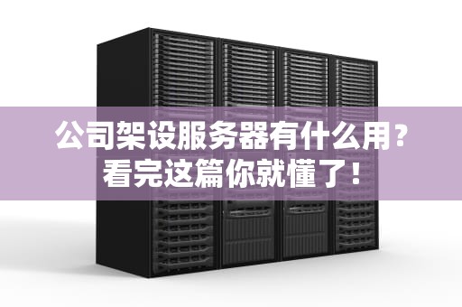 公司架设服务器有什么用？看完这篇你就懂了！