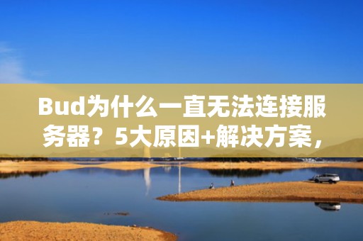 Bud为什么一直无法连接服务器？5大原因+解决方案，看完秒懂！