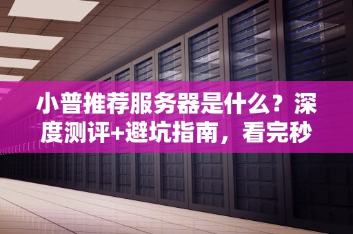 小普推荐服务器是什么？深度测评+避坑指南，看完秒变老司机！