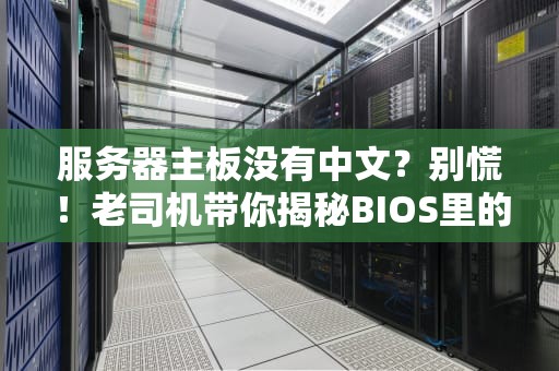 服务器主板没有中文？别慌！老司机带你揭秘BIOS里的外语课（附解决办法）