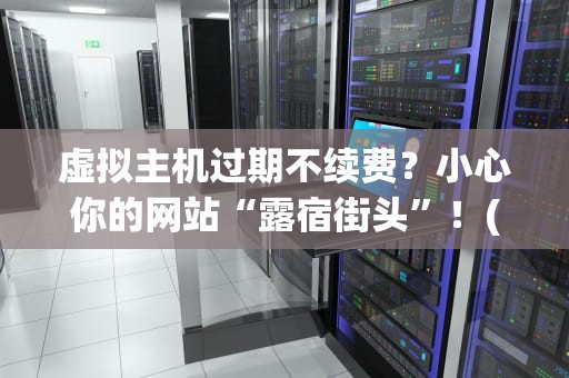 虚拟主机过期不续费？小心你的网站“露宿街头”！(附专业避坑指南)