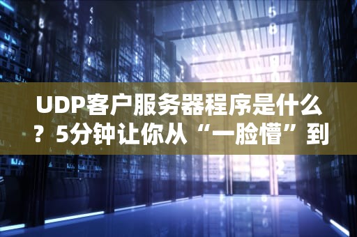 UDP客户服务器程序是什么？5分钟让你从“一脸懵”到“懂王附体”！