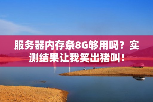 服务器内存条8G够用吗？实测结果让我笑出猪叫！