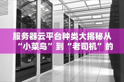 服务器云平台种类大揭秘从“小菜鸟”到“老司机”的进阶指南