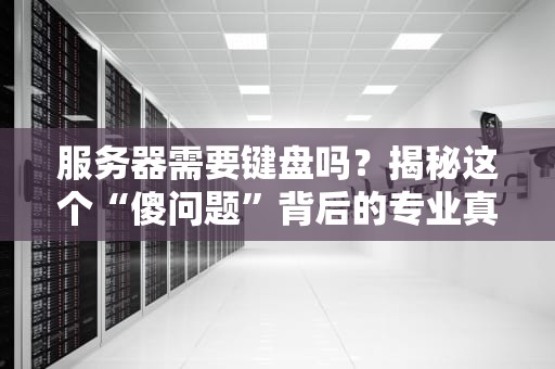 服务器需要键盘吗？揭秘这个“傻问题”背后的专业真相！
