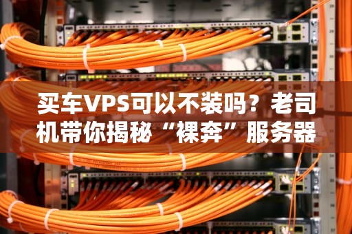 买车VPS可以不装吗？老司机带你揭秘“裸奔”服务器的那些事儿！