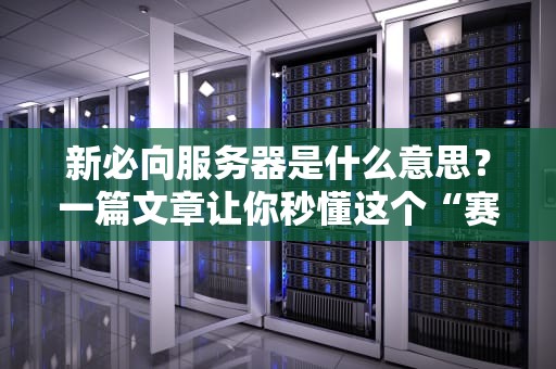 新必向服务器是什么意思？一篇文章让你秒懂这个“赛博打工人”的日常！