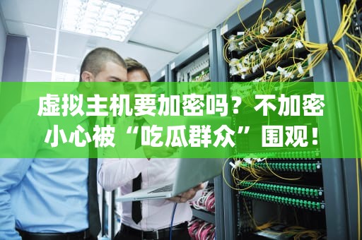 虚拟主机要加密吗？不加密小心被“吃瓜群众”围观！(附专业测评)