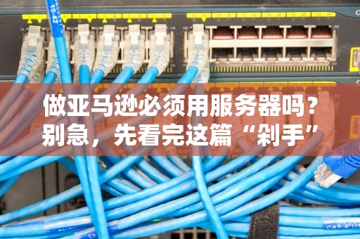 做亚马逊必须用服务器吗？别急，先看完这篇“剁手”指南！