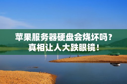 苹果服务器硬盘会烧坏吗？真相让人大跌眼镜！