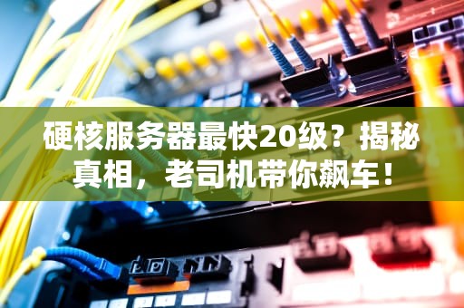 硬核服务器最快20级？揭秘真相，老司机带你飙车！