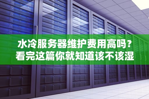 水冷服务器维护费用高吗？看完这篇你就知道该不该湿身了！