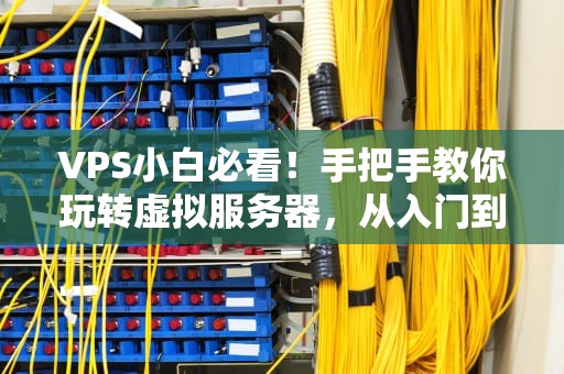 VPS小白必看！手把手教你玩转虚拟服务器，从入门到精通