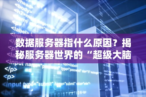 数据服务器指什么原因？揭秘服务器世界的“超级大脑”