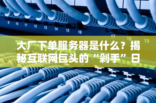 大厂下单服务器是什么？揭秘互联网巨头的“剁手”日常！