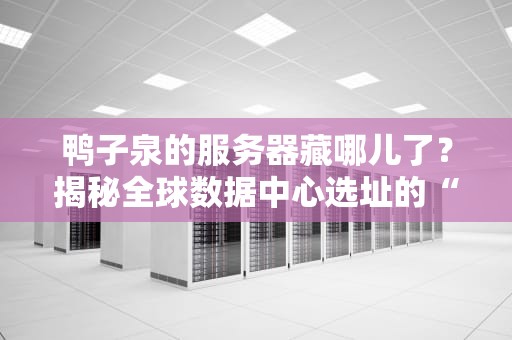 鸭子泉的服务器藏哪儿了？揭秘全球数据中心选址的“玄学”