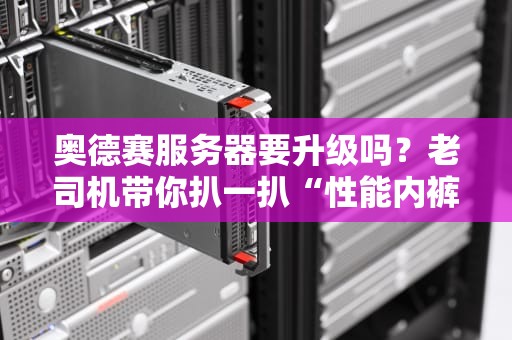 奥德赛服务器要升级吗？老司机带你扒一扒“性能内裤”该不该换！