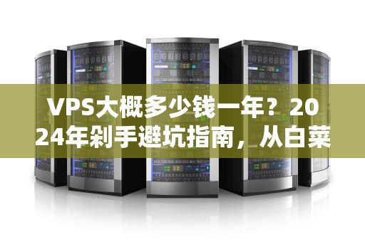 VPS大概多少钱一年？2024年剁手避坑指南，从白菜价到土豪套餐全解析！