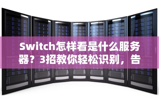 Switch怎样看是什么服务器？3招教你轻松识别，告别“盲盒”体验！