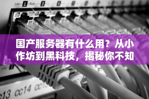 国产服务器有什么用？从小作坊到黑科技，揭秘你不知道的国产逆袭之路！