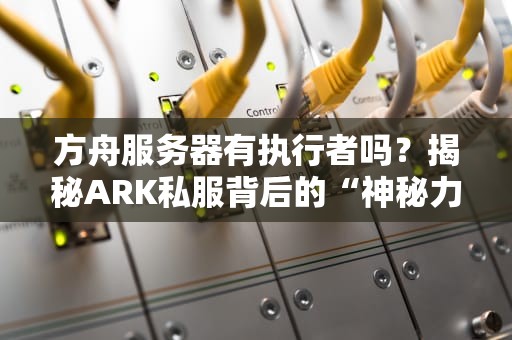 方舟服务器有执行者吗？揭秘ARK私服背后的“神秘力量”