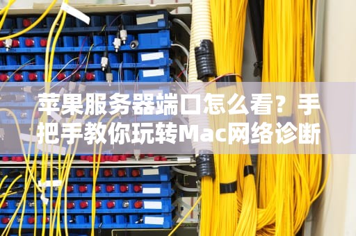 苹果服务器端口怎么看？手把手教你玩转Mac网络诊断！