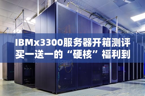 IBMx3300服务器开箱测评买一送一的“硬核”福利到底香不香？