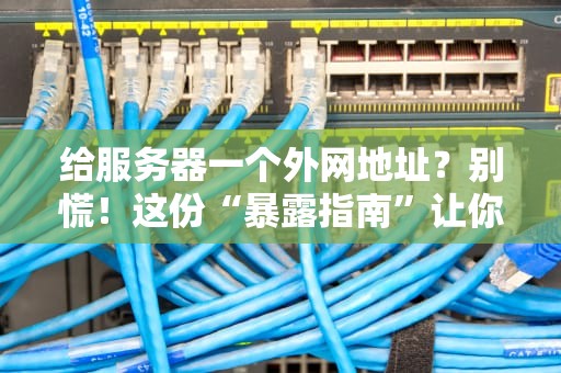 给服务器一个外网地址？别慌！这份“暴露指南”让你秒变网络老司机！
