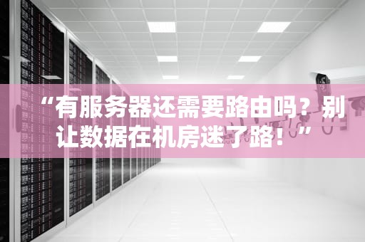 “有服务器还需要路由吗？别让数据在机房迷了路！”