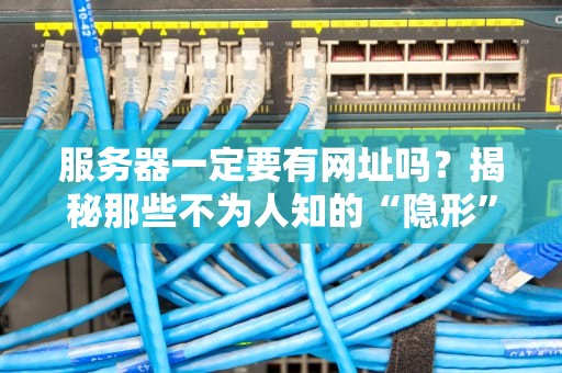 服务器一定要有网址吗？揭秘那些不为人知的“隐形”服务器！