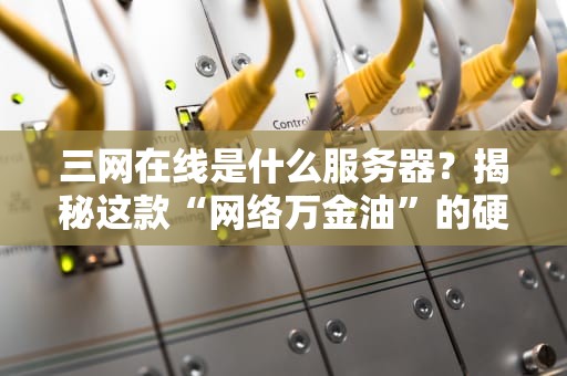 三网在线是什么服务器？揭秘这款“网络万金油”的硬核实力！