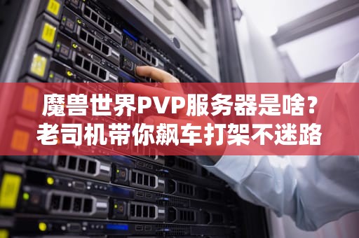 魔兽世界PVP服务器是啥？老司机带你飙车打架不迷路！