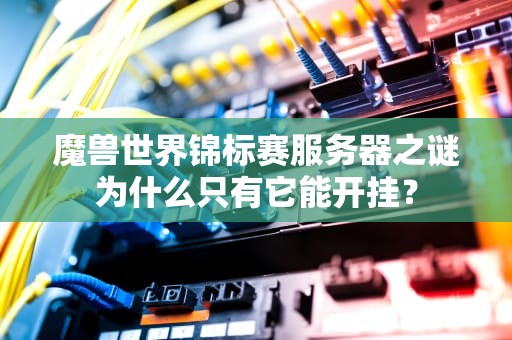 魔兽世界锦标赛服务器之谜为什么只有它能开挂？