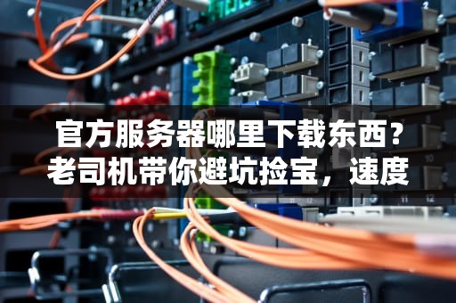 官方服务器哪里下载东西？老司机带你避坑捡宝，速度起飞！
