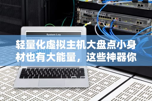 轻量化虚拟主机大盘点小身材也有大能量，这些神器你用过几个？