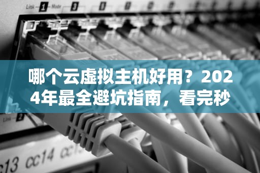 哪个云虚拟主机好用？2024年最全避坑指南，看完秒变老司机！