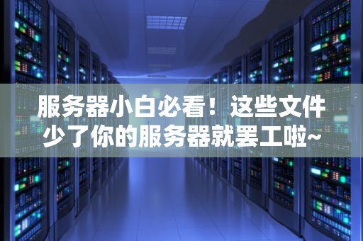 服务器小白必看！这些文件少了你的服务器就罢工啦~