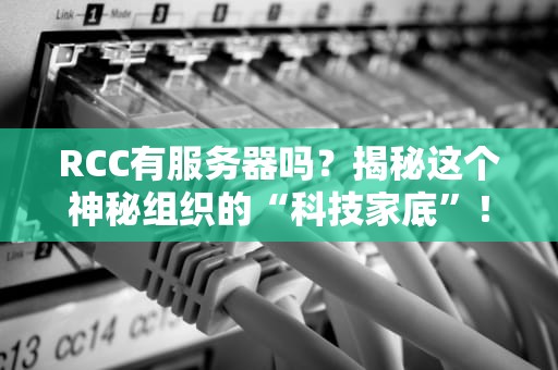 RCC有服务器吗？揭秘这个神秘组织的“科技家底”！（附专业测评）