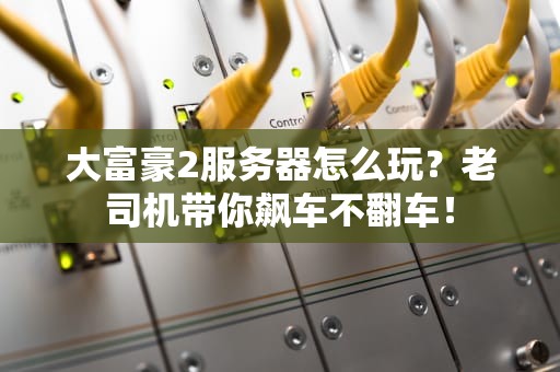 大富豪2服务器怎么玩？老司机带你飙车不翻车！